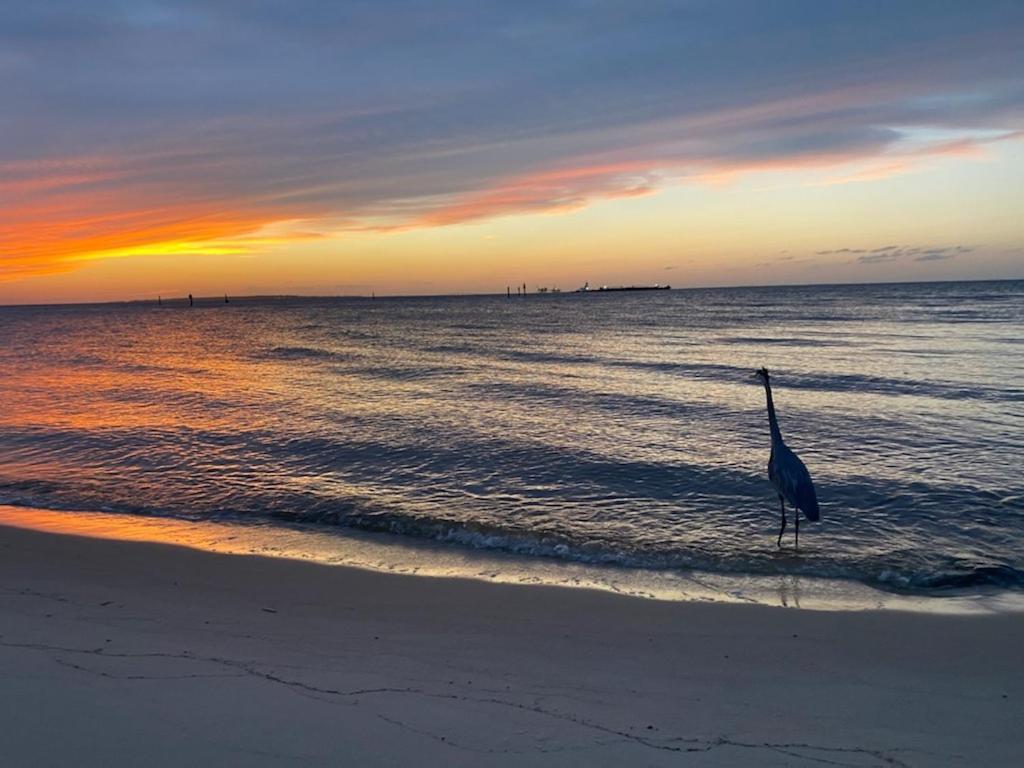 Budget Friendly Condo Perfect For A Romantic Getaway Within Walking Distance To The Beach! Gulf Shores Exteriér fotografie