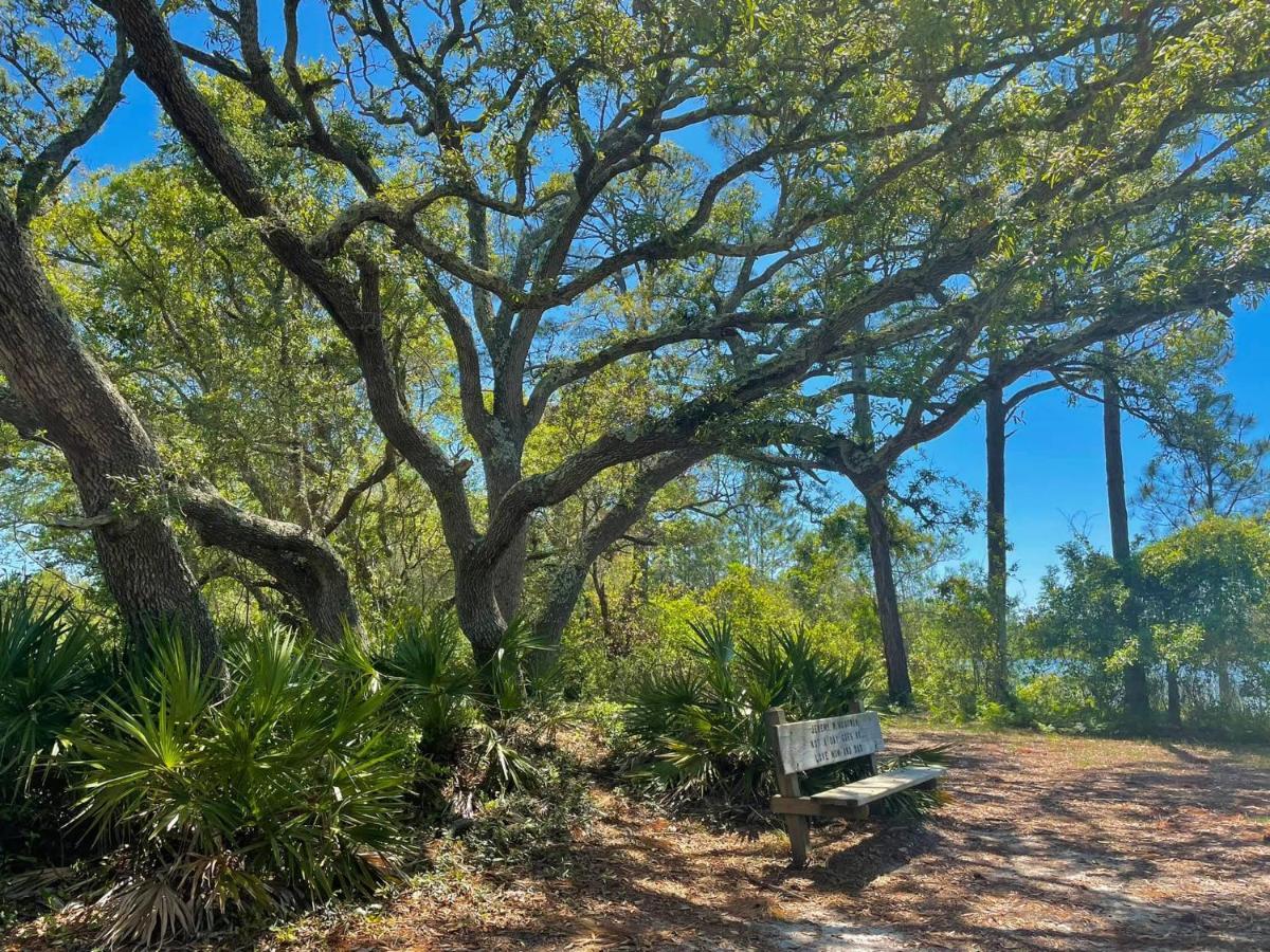 Budget Friendly Condo Perfect For A Romantic Getaway Within Walking Distance To The Beach! Gulf Shores Exteriér fotografie